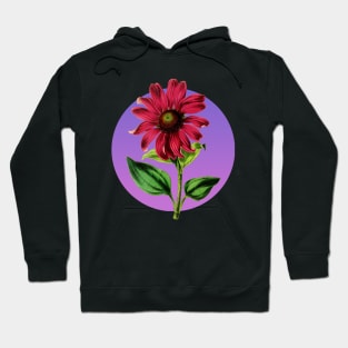 Vintage Botanical Flower Illustration Echinacea Intermedia Hoodie